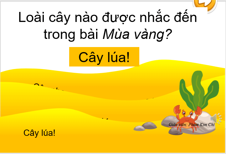 Giáo án điện tử Hạt thóc lớp 2 | PPT Tiếng Việt lớp 2 Kết nối tri thức