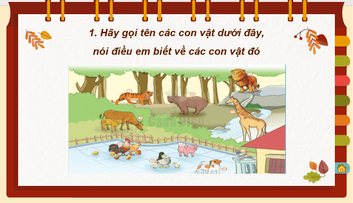 Giáo án điện tử Đàn gà mới nở lớp 2 | PPT Tiếng Việt lớp 2 Cánh diều