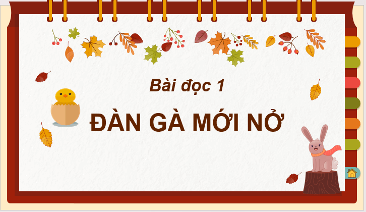 Giáo án điện tử Chia sẻ và đọc: Đàn gà mới nở lớp 2 | PPT Tiếng Việt lớp 2 Cánh diều