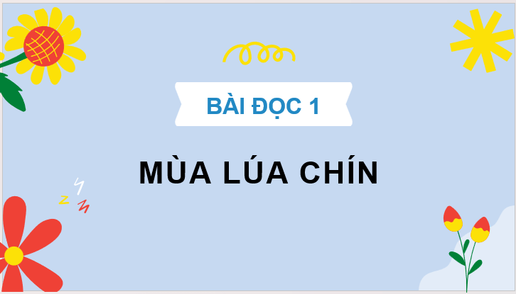 Giáo án điện tử Mùa lúa chín lớp 2 | PPT Tiếng Việt lớp 2 Cánh diều