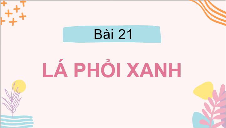 Giáo án điện tử Tiếng vườn lớp 2 | PPT Tiếng Việt lớp 2 Cánh diều