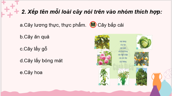 Giáo án điện tử Tiếng vườn lớp 2 | PPT Tiếng Việt lớp 2 Cánh diều