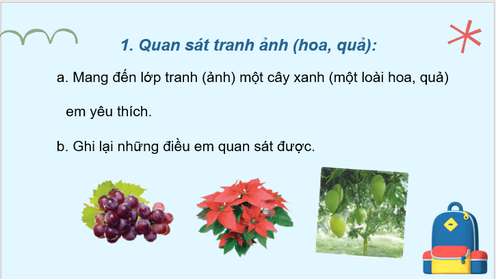 Giáo án điện tử Kể lại kết quả quan sát tranh lớp 2 | PPT Tiếng Việt lớp 2 Cánh diều