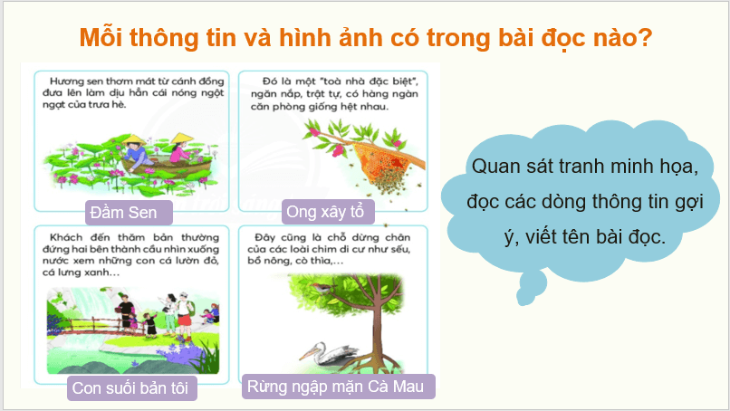 Giáo án điện tử Ôn tập 2 Tập 2 trang 75, 76 lớp 2 | PPT Tiếng Việt lớp 2 Chân trời sáng tạo