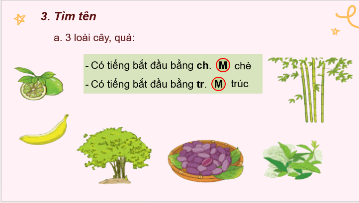 Giáo án điện tử Viết trang 23 lớp 2 | PPT Tiếng Việt lớp 2 Cánh diều