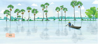 Giáo án Tiếng Việt lớp 3 Bài 4: Mênh mông mùa nước nổi | Chân trời sáng tạo