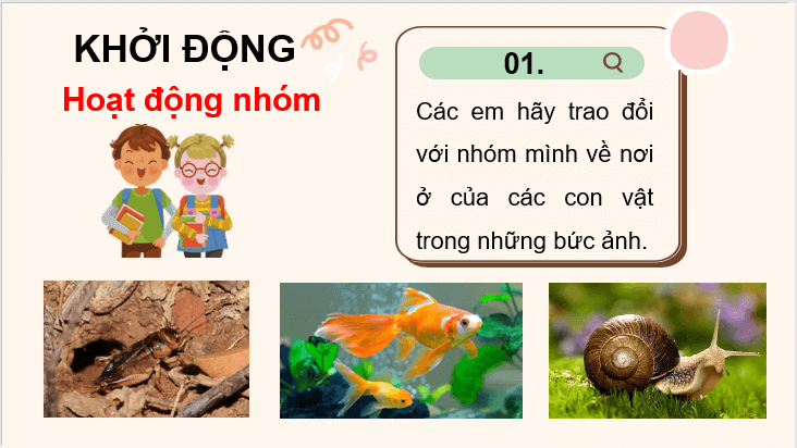 Giáo án điện tử Chuyện xây nhà lớp 3 | PPT Tiếng Việt lớp 3 Chân trời sáng tạo