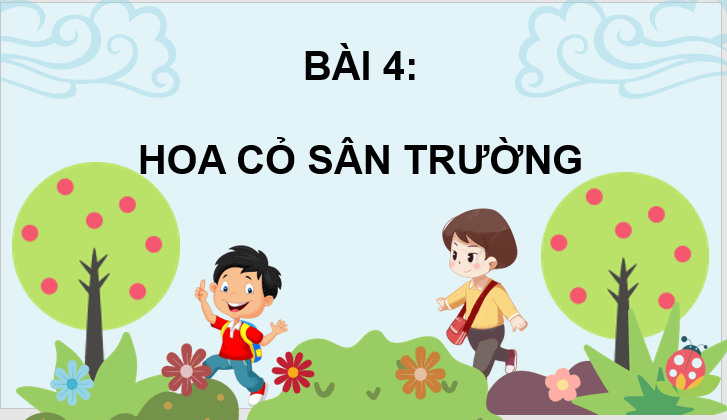 Giáo án điện tử Hoa cỏ sân trường lớp 3 | PPT Tiếng Việt lớp 3 Chân trời sáng tạo