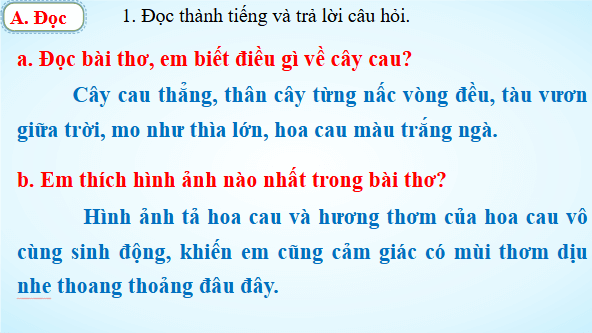 Giáo án điện tử Đánh giá cuối học kì 2 trang 139, 140, 141, 142 Tập 2 lớp 3 | PPT Tiếng Việt lớp 3 Kết nối tri thức