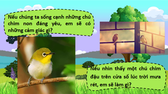 Giáo án điện tử Chuyện bên của sổ trang 48, 49 Tập 2 lớp 3 | PPT Tiếng Việt lớp 3 Kết nối tri thức