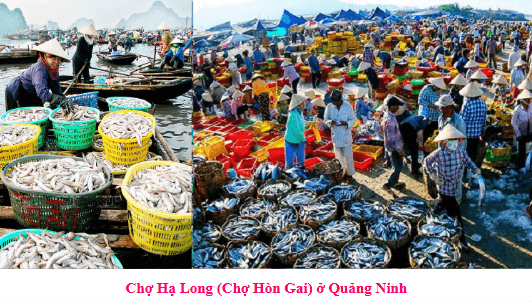 Giáo án điện tử Viết trang 90 Tập 2 lớp 3 | PPT Tiếng Việt lớp 3 Kết nối tri thức