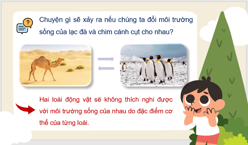 Giáo án điện tử Thằn lằn xanh và tắc kè lớp 4 | PPT Tiếng Việt lớp 4 Kết nối tri thức