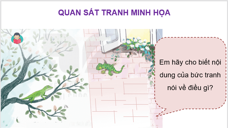 Giáo án điện tử Thằn lằn xanh và tắc kè lớp 4 | PPT Tiếng Việt lớp 4 Kết nối tri thức