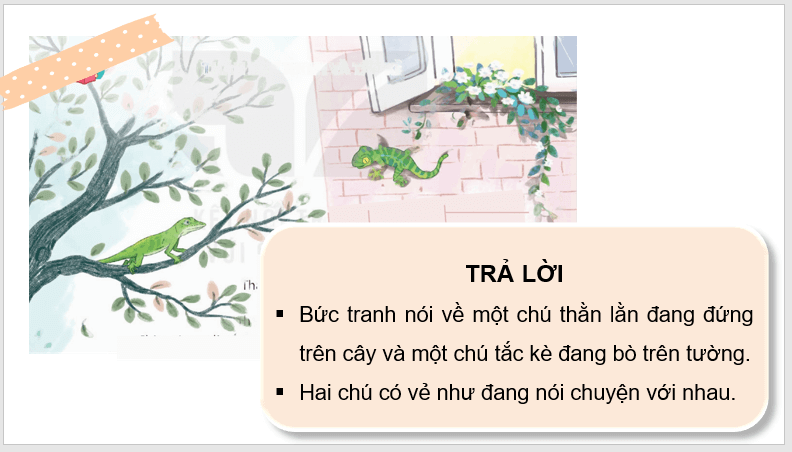 Giáo án điện tử Thằn lằn xanh và tắc kè lớp 4 | PPT Tiếng Việt lớp 4 Kết nối tri thức