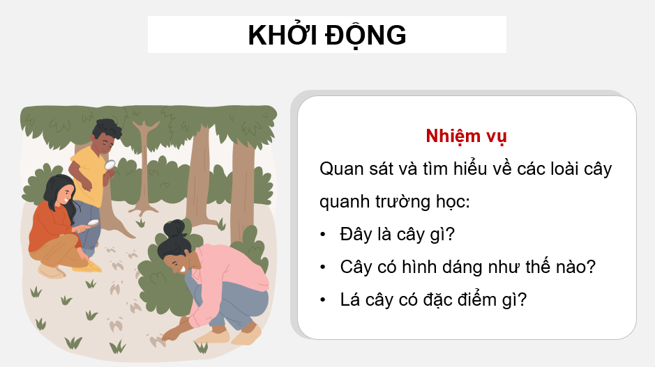 Giáo án điện tử Quan sát vườn cây lớp 4 | PPT Tiếng Việt lớp 4 Cánh diều