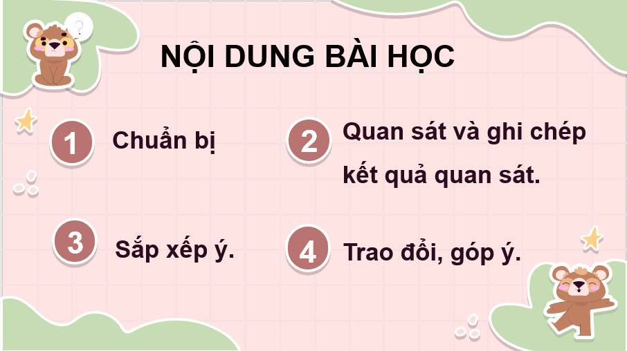 Giáo án điện tử Quan sát con vật lớp 4 | PPT Tiếng Việt lớp 4 Kết nối tri thức