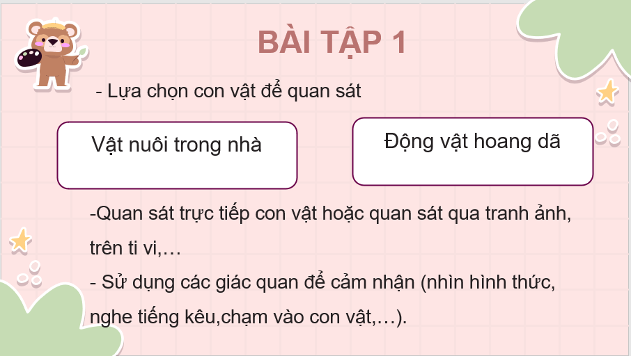 Giáo án điện tử Quan sát con vật lớp 4 | PPT Tiếng Việt lớp 4 Kết nối tri thức