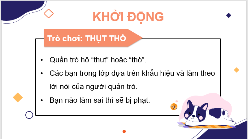 Giáo án điện tử Viết bài văn miêu tả con vật lớp 4 | PPT Tiếng Việt lớp 4 Kết nối tri thức