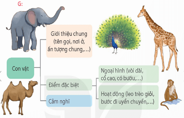 Giáo án Tiết 5 (trang 142) lớp 4 | Giáo án Tiếng Việt lớp 4 Kết nối tri thức