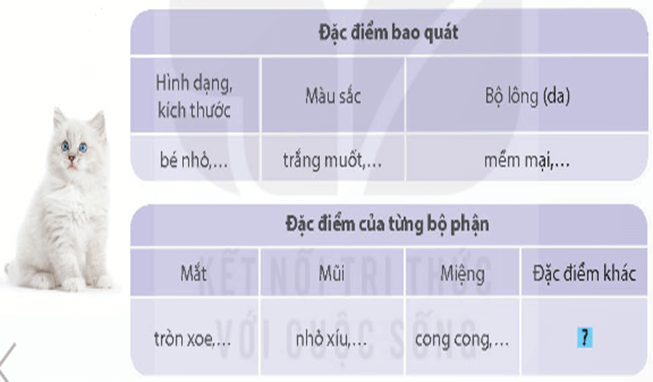 Giáo án Quan sát con vật lớp 4 | Giáo án Tiếng Việt lớp 4 Kết nối tri thức