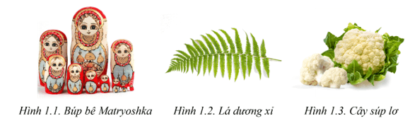 Giáo án Chuyên đề Tin học 11 Kết nối tri thức Bài 1: Đệ quy và hàm đệ quy