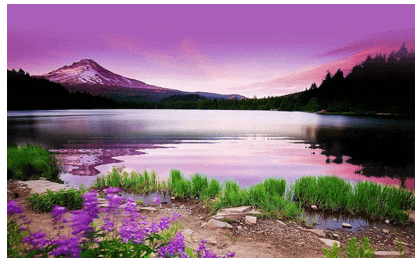 Giáo án Chuyên đề Tin học 11 Kết nối tri thức Bài 11: Thao tác với các lớp ảnh