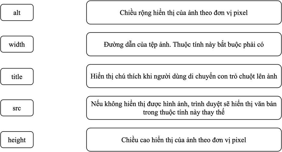 Giáo án Tin học 12 Chân trời sáng tạo Bài F6: Dự án tạo trang web