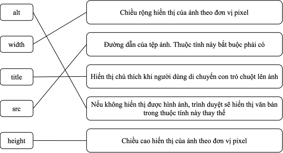 Giáo án Tin học 12 Chân trời sáng tạo Bài F6: Dự án tạo trang web