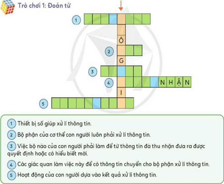 Giáo án Tin học lớp 3 Bài 4: Ôn tập về thông tin và xử lý thông tin | Cánh diều