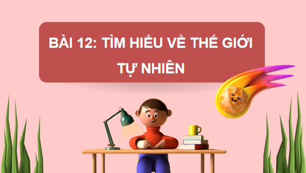 Giáo án điện tử Tin học lớp 3 Kết nối tri thức Bài 12: Tìm hiểu về thế giới tự nhiên | PPT Tin học lớp 3