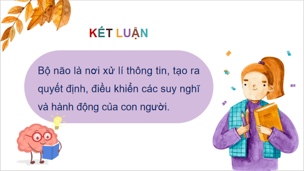 Giáo án điện tử Tin học lớp 3 Kết nối tri thức Bài 2: Xử lí thông tin | PPT Tin học lớp 3