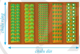 Giáo án Tin học lớp 5 Cánh diều Bài 1: Thu thập và tìm kiếm thông tin trong giải quyết vấn đề