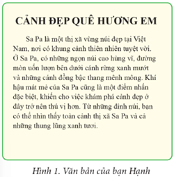 Giáo án Tin học lớp 5 Cánh diều Bài 3: Lợi ích của việc sử dụng máy tính thành thạo