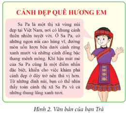 Giáo án Tin học lớp 5 Cánh diều Bài 3: Lợi ích của việc sử dụng máy tính thành thạo