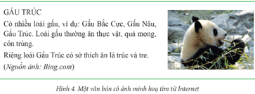 Giáo án Tin học lớp 5 Cánh diều Bài 3: Thực hành chèn ảnh vào văn bản