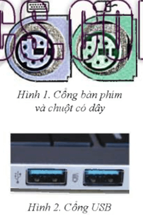 Giáo án Tin học 7 Bài 3: Thực hành với các thiết bị vào – ra