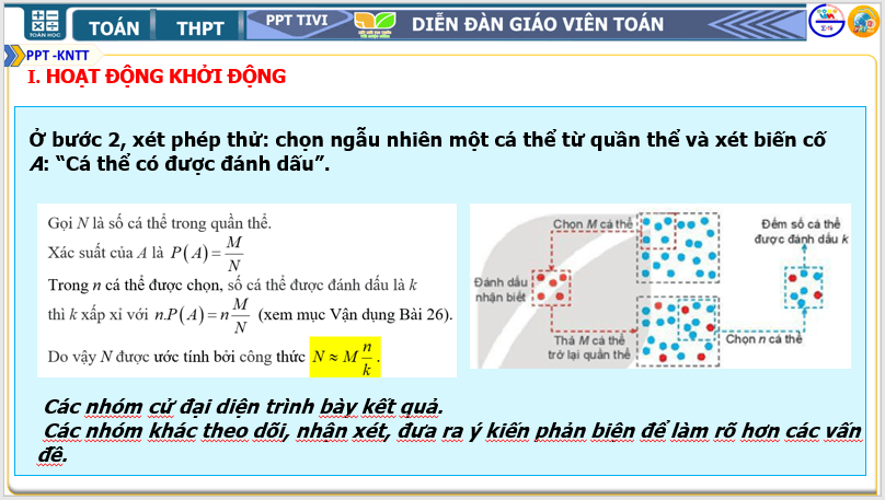 Giáo án điện tử Toán 10 Ước tính số cá thể trong một quần thể | PPT Toán 10 Kết nối tri thức