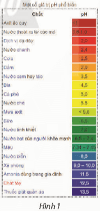 Giáo án Toán 11 Chân trời sáng tạo Bài 2: Ứng dụng lôgarit vào đo lường độ pH của dung dịch