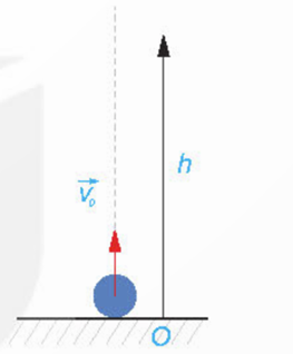 Giáo án Toán 11 Kết nối tri thức Bài 32: Các quy tắc tính đạo hàm