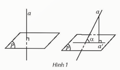 Giáo án Toán 11 Chân trời sáng tạo Bài 5: Góc giữa đường thẳng và mặt phẳng. Góc nhị diện