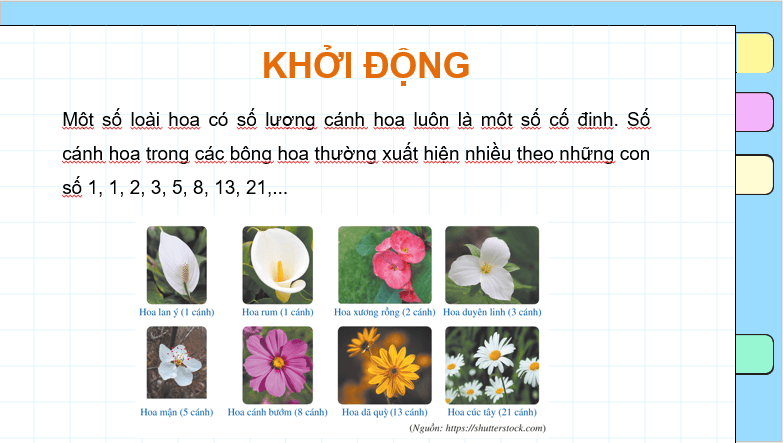 Giáo án điện tử Toán 11 Cánh diều Bài 1: Dãy số | PPT Toán 11