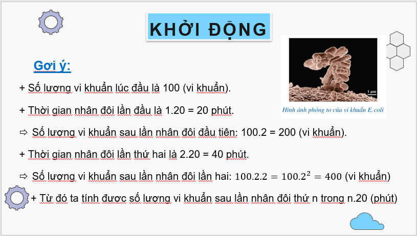 Giáo án điện tử Toán 11 Cánh diều Bài 3: Cấp số nhân | PPT Toán 11