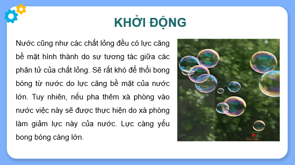 Giáo án điện tử Toán 11 Kết nối Lực căng mặt ngoài của nước | PPT Toán 11 Kết nối tri thức