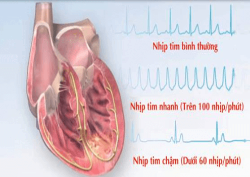 Giáo án Toán 12 Bài 5: Khảo sát sự biến thiên và vẽ đồ thị của hàm số | Giáo án Giải tích 12