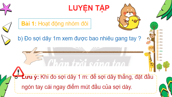 Giáo án điện tử Toán lớp 2 Thực hành và trải nghiệm Đo bằng gang tay để biết vật dài bao nhiêu mét | PPT Toán lớp 2 Chân trời sáng tạo