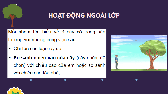 Giáo án điện tử Toán lớp 2 Thực hành và trải nghiệm: Tìm hiểu về chiều cao của cây ở trường em | PPT Toán lớp 2 Chân trời sáng tạo