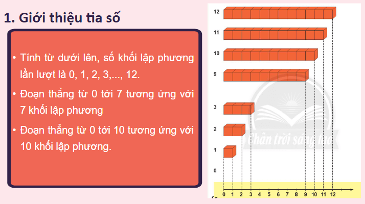 Giáo án điện tử Toán lớp 2 Tia số - số liền trước, số liền sau | PPT Toán lớp 2 Chân trời sáng tạo