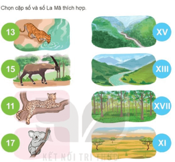 Giáo án Toán lớp 3 Bài 47: Làm quen với chữ số La Mã | Kết nối tri thức