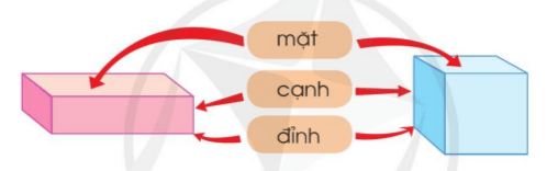 Giáo án Toán lớp 3 Khối hộp chữ nhật, khối lập phương | Cánh diều