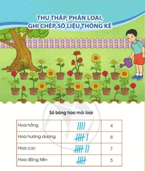 Giáo án Toán lớp 3 Thu thập, phân loại, ghi chép số liệu thống kê | Cánh diều